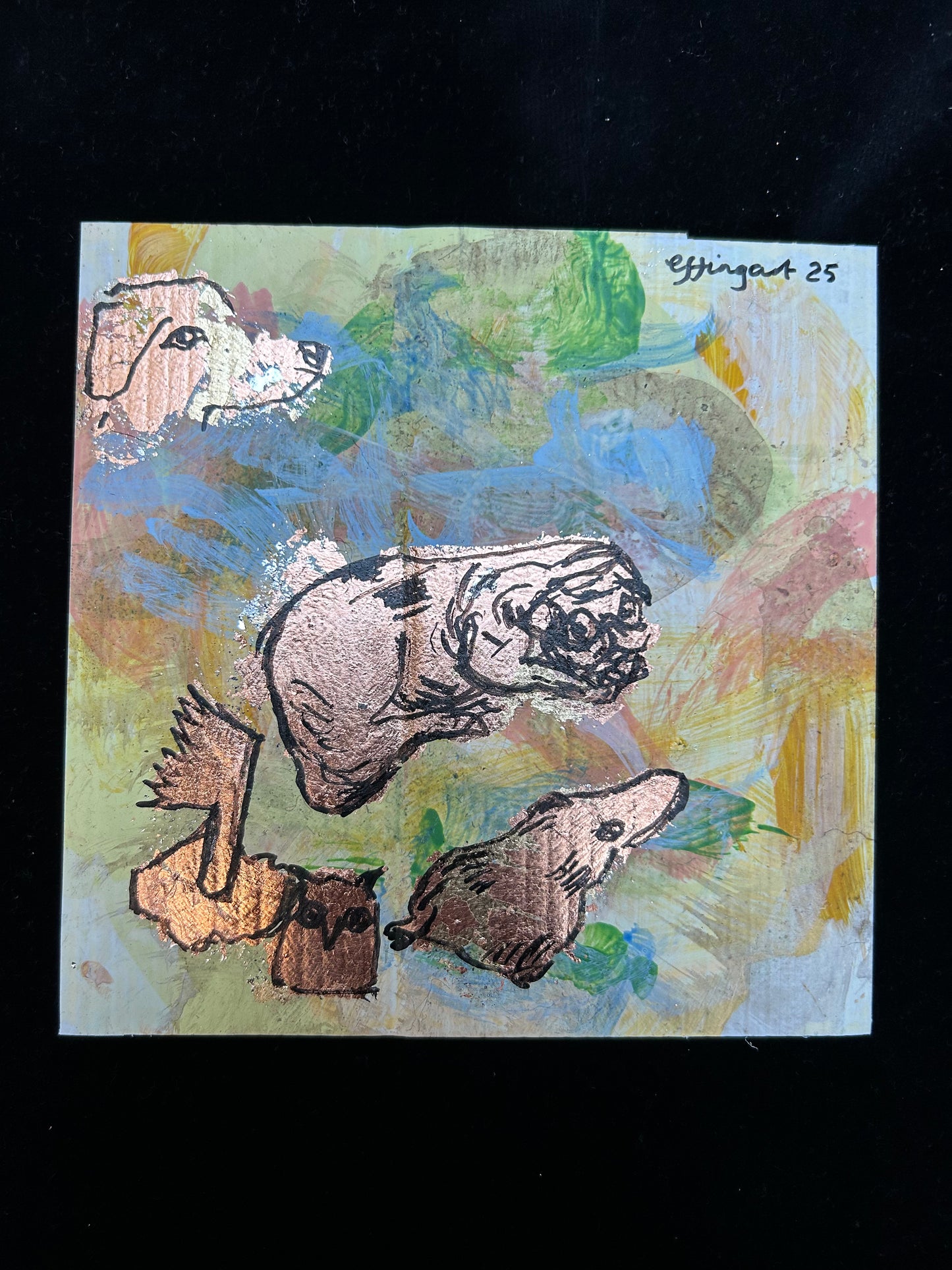 Pug Platipuss