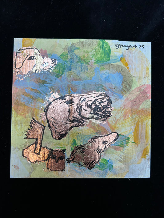 Pug Platipuss
